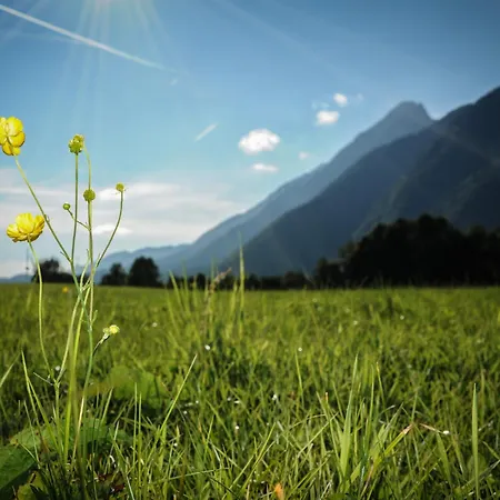 Steinerwirt Vendégház 3*