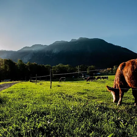 Steinerwirt Penzion 3*