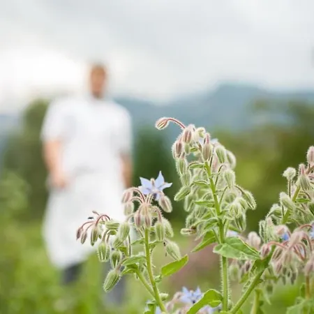 Steinerwirt 3* Гросгмайн