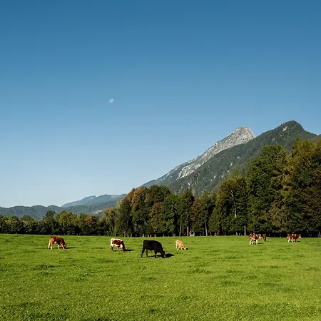 Penzion Steinerwirt Grossgmain